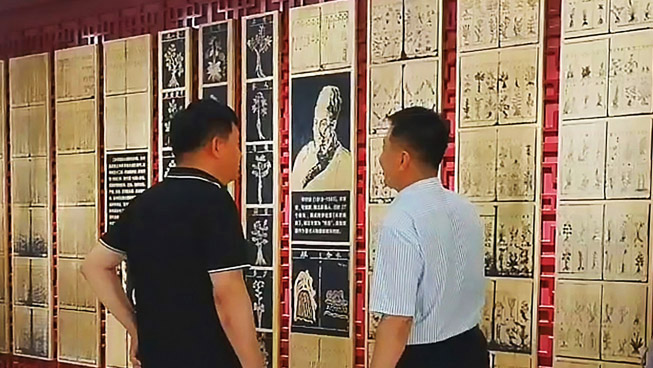 百米文化长廊如何“润物细无声”地传播中医智慧？